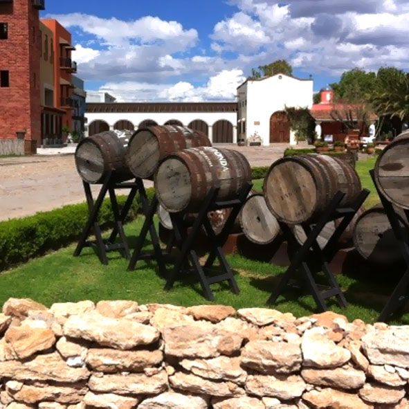 Visitar los Viñedos – RUTA DEL QUESO Y EL VINO QUERÉTARO, RUTAS TURÍSTICAS